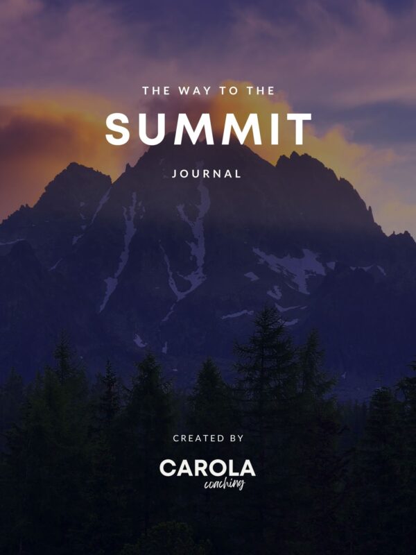 The Way to the Summit – The Reflective Digital Journal